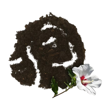 Blumenerde 51 x 45 l Kultursubstrat für Blühpflanzen   pH-Wert: 6,6